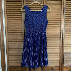 Gap Women's Chelsea Print Vintage Blue White Polka Dot Dress Size M